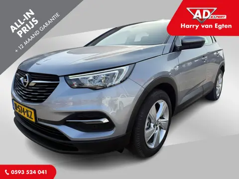 Opel Grandland X 1.2 Turbo Business Executive | Navi | Trekhaak | Stoel & Stuurverwarming |