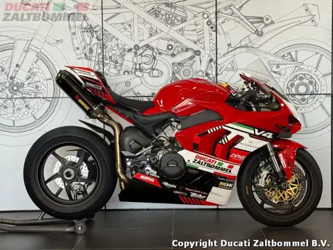 Ducati PANIGALE V4 CIRCUIT (bj 2024)