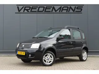 Fiat Panda 1.2 Professional 4x4