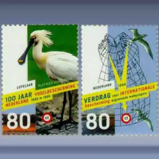 Vogels (1999)