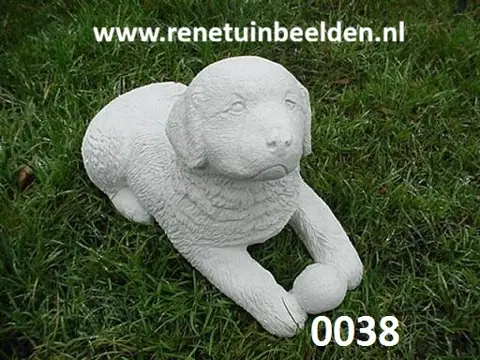 Verschillende Honden. zie foto`s