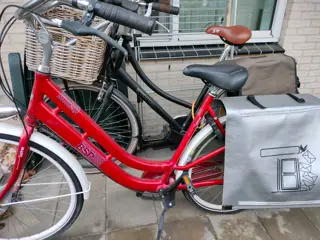 Moedersfiets BSP Seine evolution