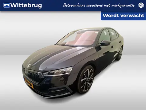 Škoda Octavia 1.0 e-TSI Sport Business / AUTOMAAT/ CRUISE/ PARKEER SENSOREN/ KEYLESS/ DIGITAL DASH/ 