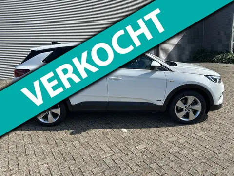 Opel GRANDLAND X 1.6 Turbo Hybrid Business Edition Met afneembare trekhaak