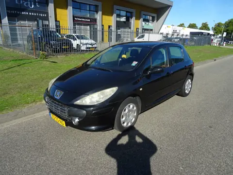 Peugeot 307 1.6-16V XS
