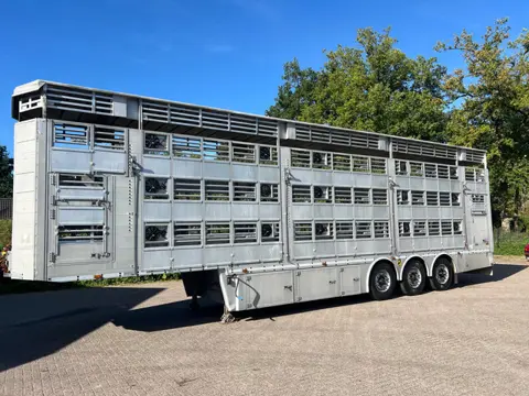 Pezzaioli 1/2/3 Livestock Type 2 Perfect condition