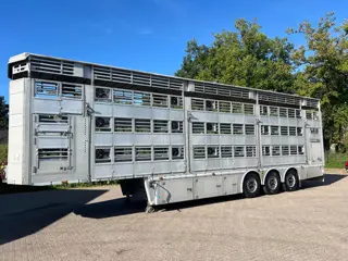 Pezzaioli 1/2/3 Livestock Type 2 Perfect condition