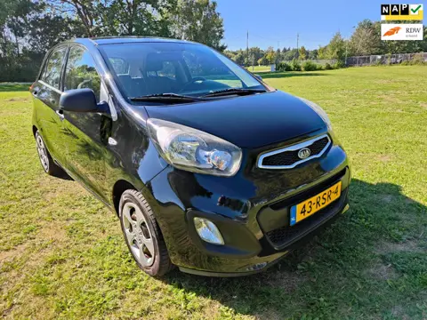 Kia Picanto 1.0 CVVT ( Dealer onderhouden)