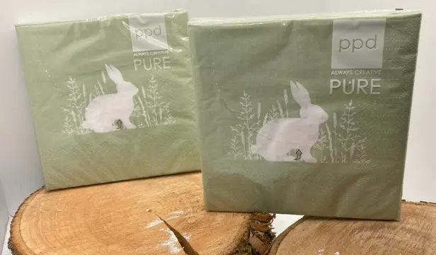 PAPIEREN LUNCH SERVETTEN EASTER GREEN 25X25 CM