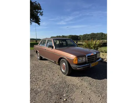 Mercedes-Benz 200-280 (W123) 250 (bj 1978)