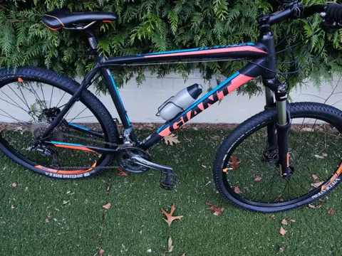 sportfiets giant