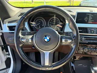 Foto 13 van BMW X1 SDrive20i Centennial High Executive, Panorama dak