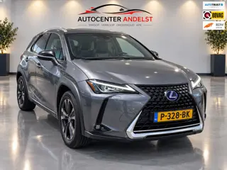 Lexus UX 250h Business Line, Aut, Acc, Stoelvrw, Navi, Pdc, Cam, Leder, LED, Bluetooth, Lmv, Goed oh