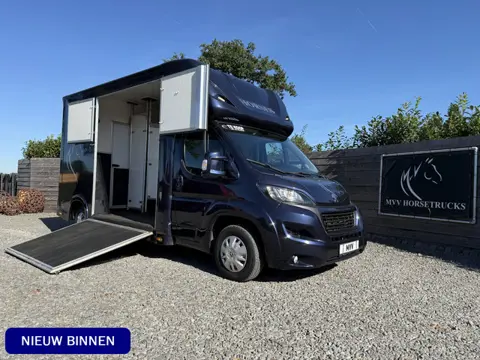 Peugeot Boxer | HORSETRUCK | MVV | STALLION 3XL | 2015 | HENGST | MANUAL | 3-SEAT | 130PK | NO VAT |