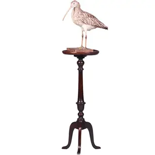 Hoge Engelse "Tripod wine table" zeer donker bijna zwart eikenhout ca 1900