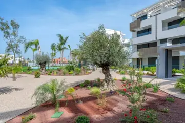 Foto 20 van Uw eigen nieuwe Appartement aan zee en groot zwembad in ALCAZARES