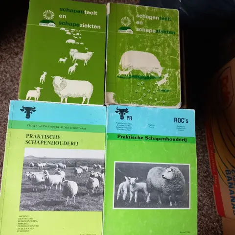 schapen - Praktische Schapenhouderij / fokkerij