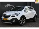 Foto 21 van Opel Mokka 1.4 T Cosmo, Stoelverw., Camera, Nieuwe ketting, Volledig onderhouden