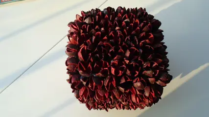 KUBUS NATUURLIJKE MATERIALEN DKR ROOD NIEUW