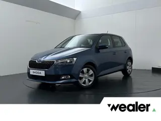 Škoda Fabia 1.0 TSI Ambition | 95 PK | Cruise control | Airco | DAB radio | Getinte ruiten achter | 