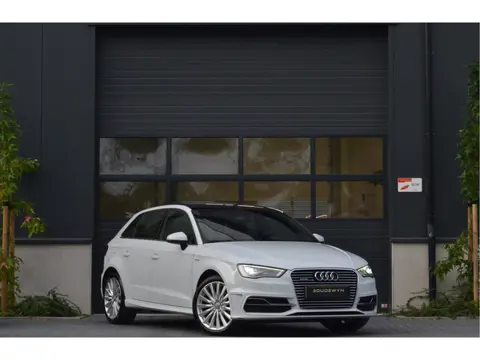 Audi A3 Sportback 1.4 e-tron PHEV Ambition Pro Line plus NAP | Pano | Automaat | Cruise Control