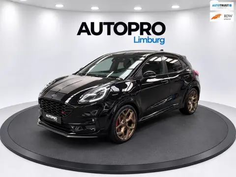 Ford PUMA 1.5 EcoBoost ST-X| Limited 668/999| Gold-Edition
