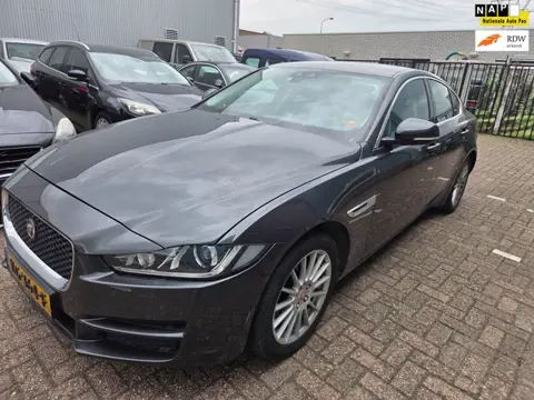 Jaguar XE 2.0 D Portfolio motor promleem