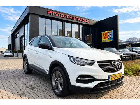 Opel GRANDLAND X 1.6 Turbo Hybrid Business Edition, CarPlay, Camera, Stoelverw,