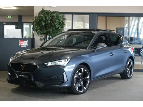CUPRA Leon 1.4 e-Hybrid 204PK Pano Led Cam Navi ACC Virtual Keyless