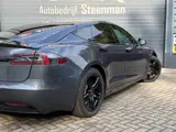 Foto 25 van Tesla Model S 75D Base | Carbon | Luchtvering | Panorama