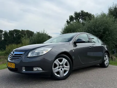 Opel Insignia 1.4 Turbo EcoFLEX Business Edition Navi 2e Eigenaar Trekhaak Clima 17" Velgen PDC Crui