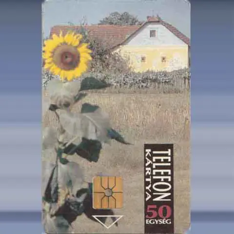 Sunflower (1993)