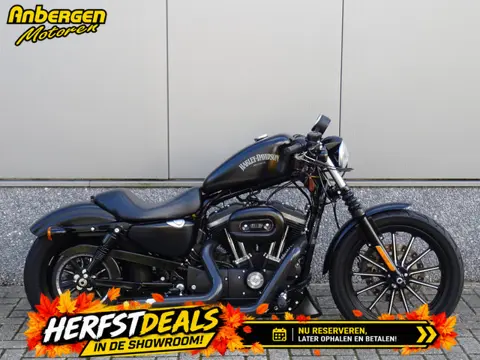 Harley-Davidson IRON 883 (bj 2015)