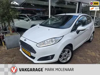 Ford Fiesta 1.0 EcoBoost Titanium,nette auto