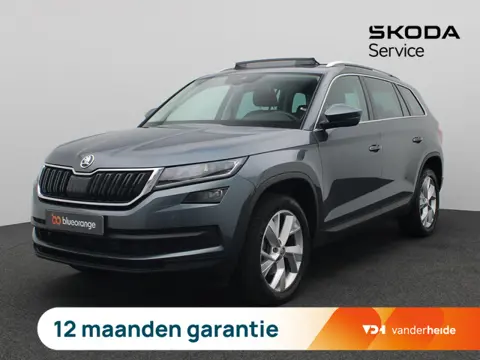 Skoda Kodiaq 1.5 TSI Business Edition Plus 7p. 150PK DSG Panoramadak, Trekhaak, Achteruitrijcamera, 