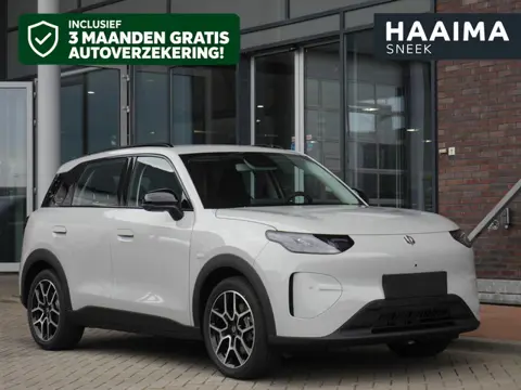 Leapmotor B03X ProMax Design 53 kWh 382KM WLTP l Hoge Zit & Verrassend Ruim! l Stoel- en Stuurwielve