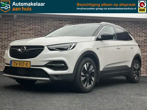Opel Grandland X 1.2 Turbo Business Executive |Elektrische achterklep