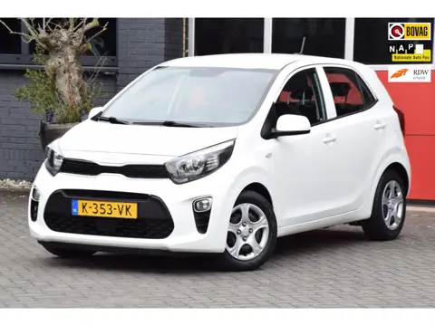 Kia Picanto 1.0 DPi ComfortLine 2021 Airco 5 Deurs Cruise control 15X op Voorraad