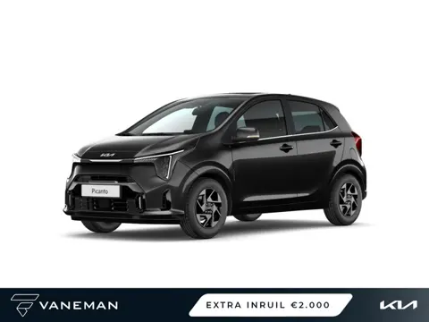 Kia Picanto 1.0 GDi ComfortLine | Binnenkort leverbaar