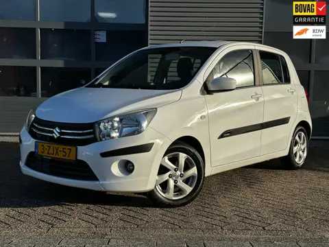 Suzuki Celerio 1.0 Exclusive | CRUISECR | Arico | NAP