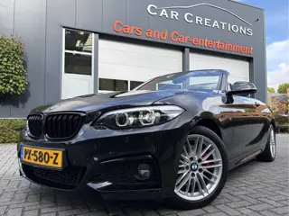 BMW 2 Serie Cabrio 220i M-Sport NL-Auto 56.938 Km!