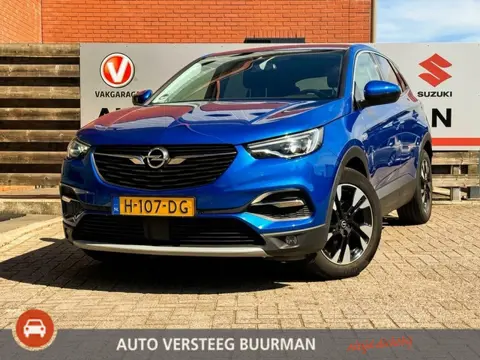 Opel Grandland X 1.2 Turbo Business Executive Camera, Apple Carplay/Android Auto, Halfleren Bekledin