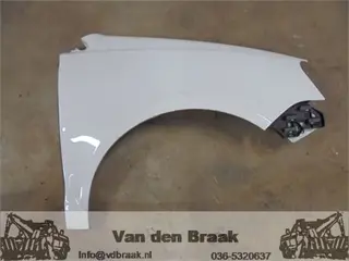 Volkswagen Polo 9N3 2005-2009 Scherm rechts voor