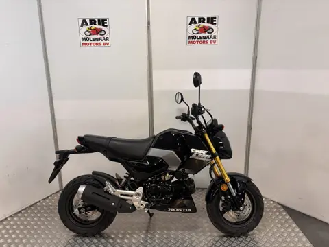 Honda MSX 125 (bj 2026)