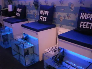 Fish foot spa over te nemen