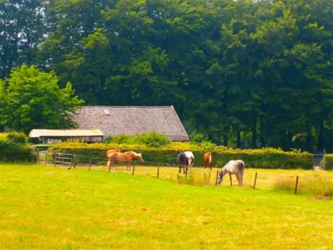 Prachtig gelegen pensionstal Arnhem- Noord