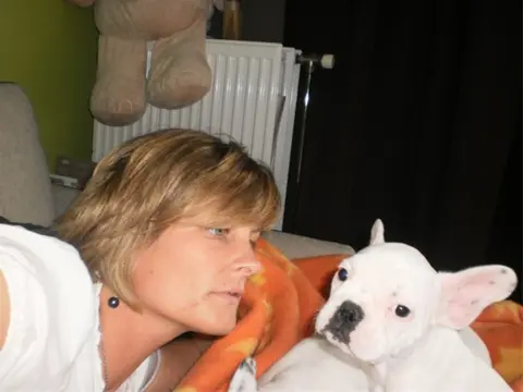 Pupje te koop teefje