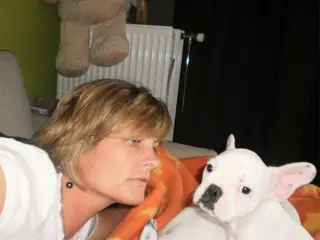 Pupje te koop teefje