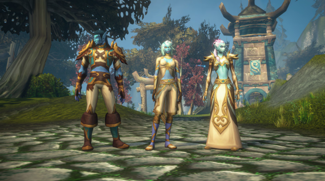 MMOEXP:WoW Forever Klassenguide: So funktionieren Priester und Krieger