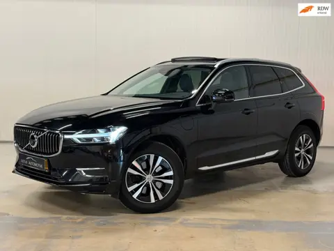 Volvo XC60 2.0 Recharge T6 AWD Inscription | PANO | LEDER | H&K | 360 CAMERA